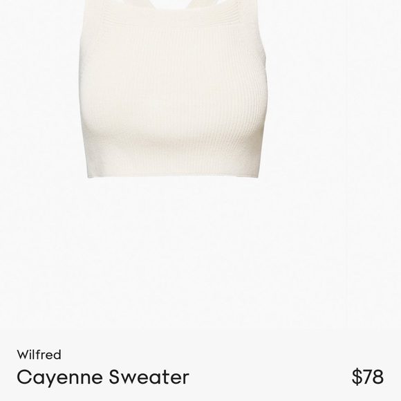 Aritzia Cayenne Sweater - Picture 2 of 4